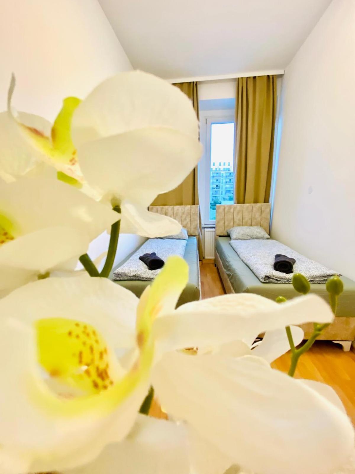 Bright 5Br Shared Apartment W Great Transport Link Wien Exterior foto